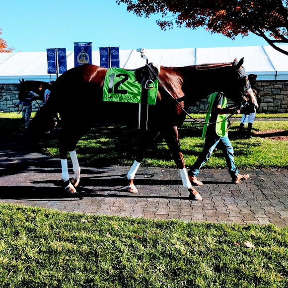 Meet your Posher, Marianne - Picture 11 of 11